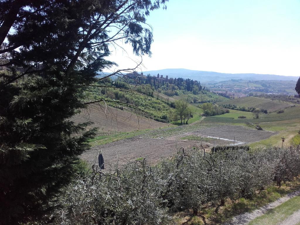 Agriturismo Il Torrione Certaldo Kültér fotó