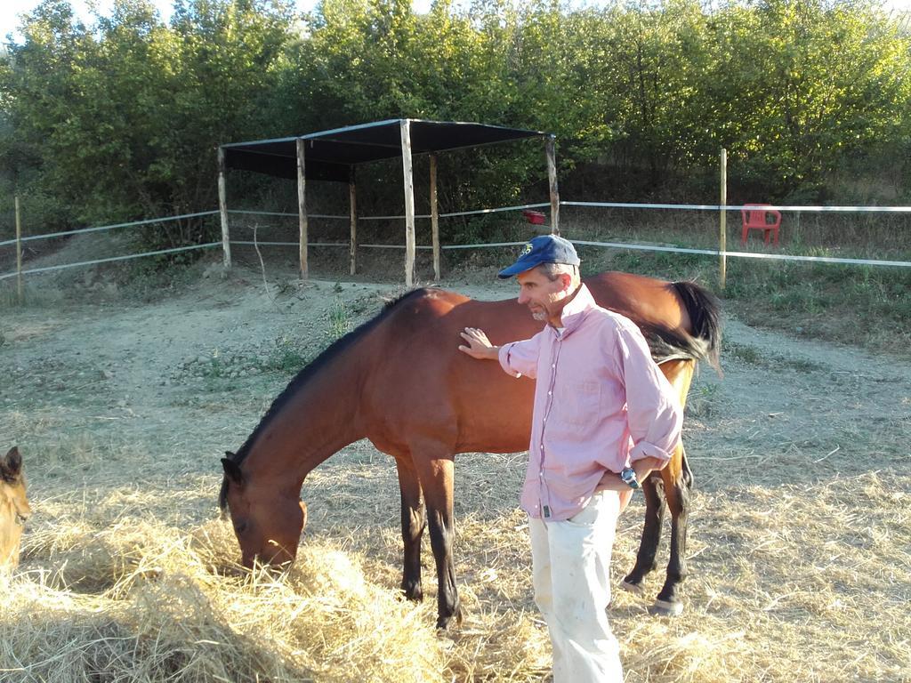 Agriturismo Il Torrione Certaldo Kültér fotó
