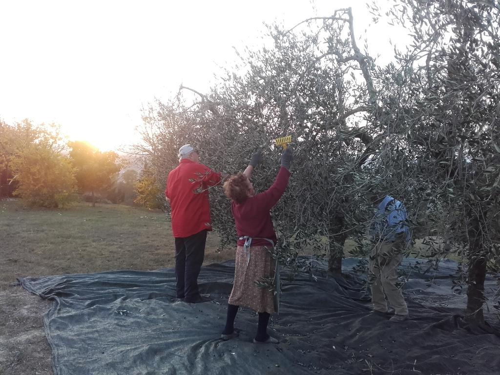 Agriturismo Il Torrione Certaldo Kültér fotó