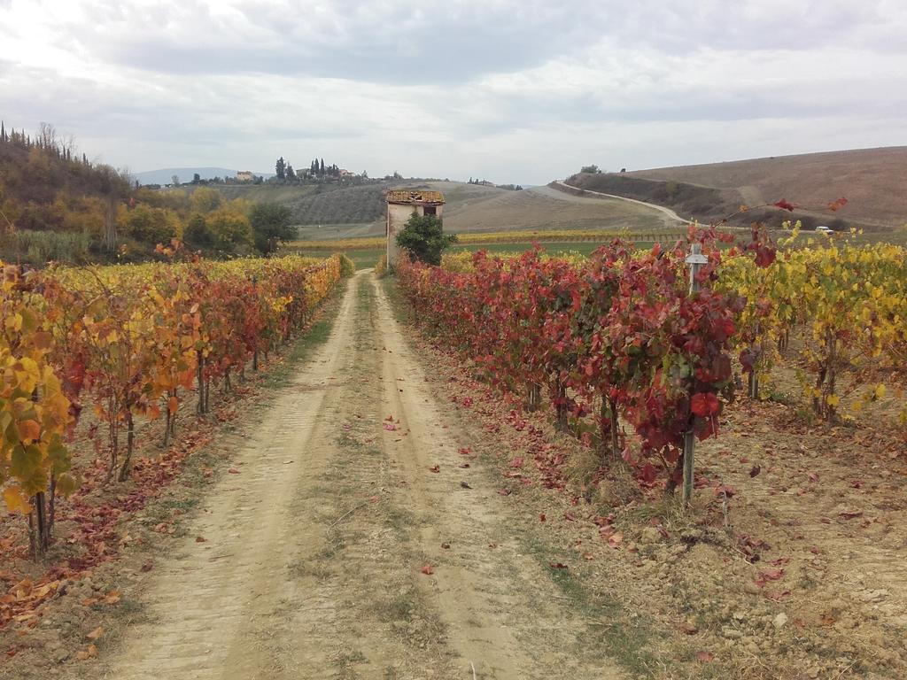 Agriturismo Il Torrione Certaldo Kültér fotó