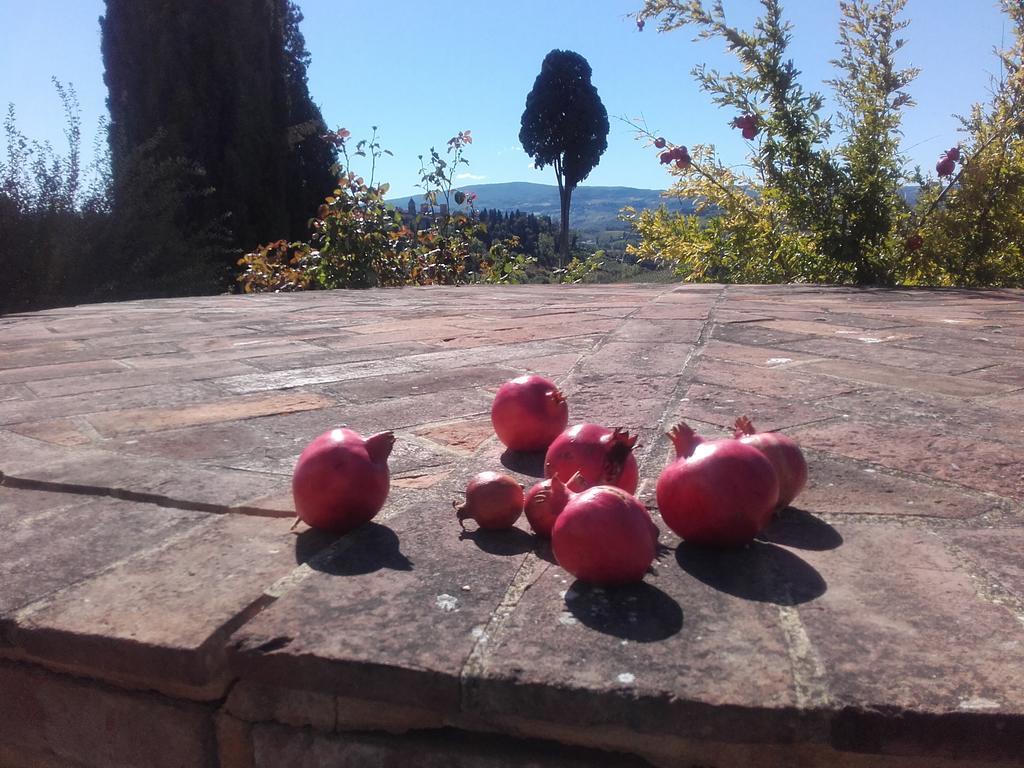 Agriturismo Il Torrione Villa Certaldo Kültér fotó