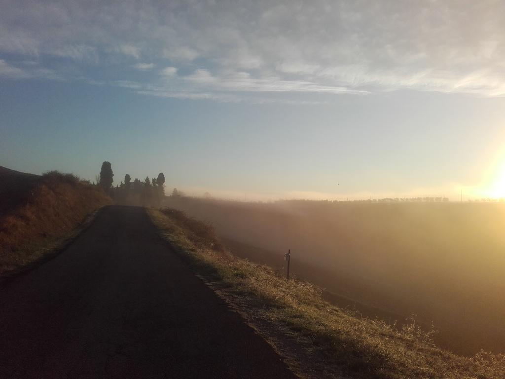 Agriturismo Il Torrione Certaldo Kültér fotó