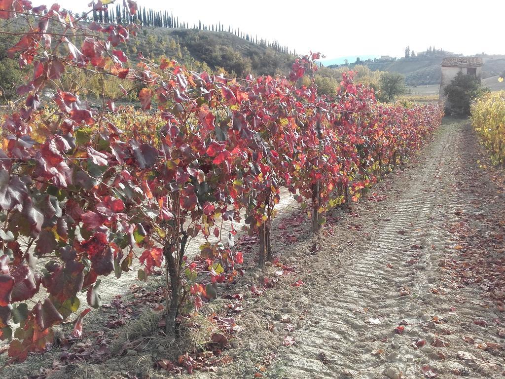 Agriturismo Il Torrione Certaldo Kültér fotó