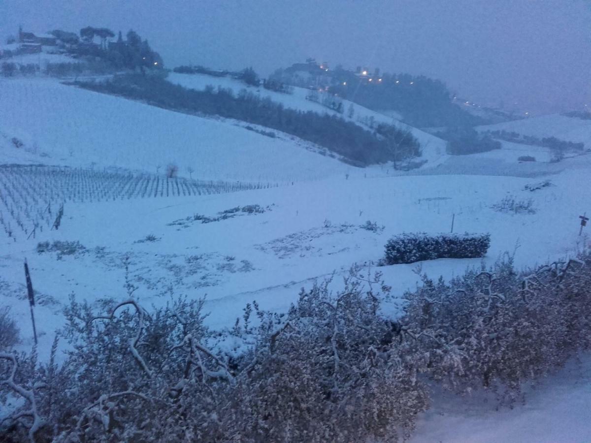 Agriturismo Il Torrione Certaldo Kültér fotó