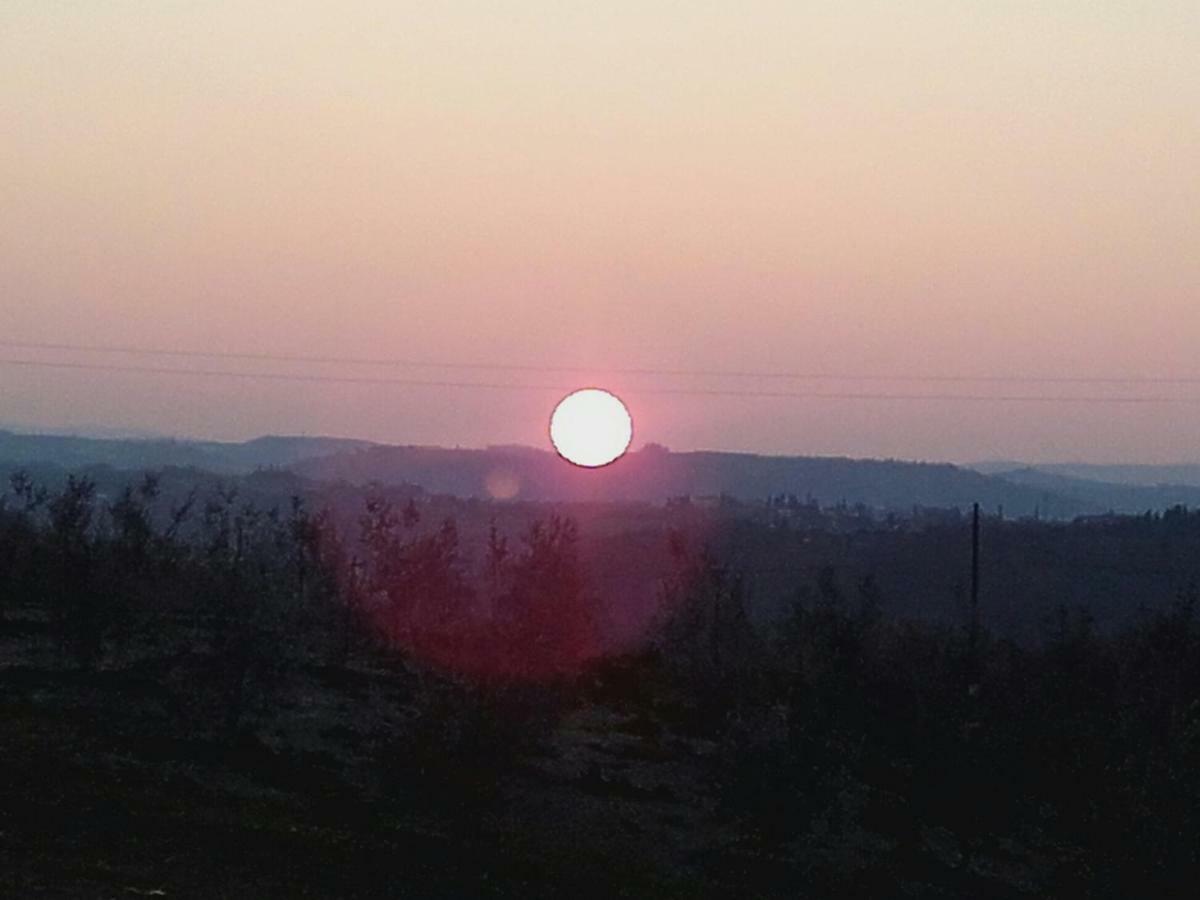 Agriturismo Il Torrione Certaldo Kültér fotó