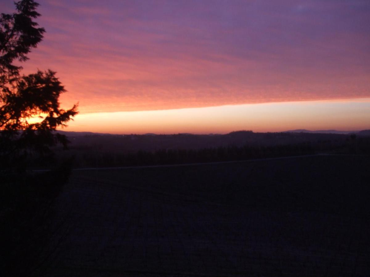 Agriturismo Il Torrione Certaldo Szoba fotó